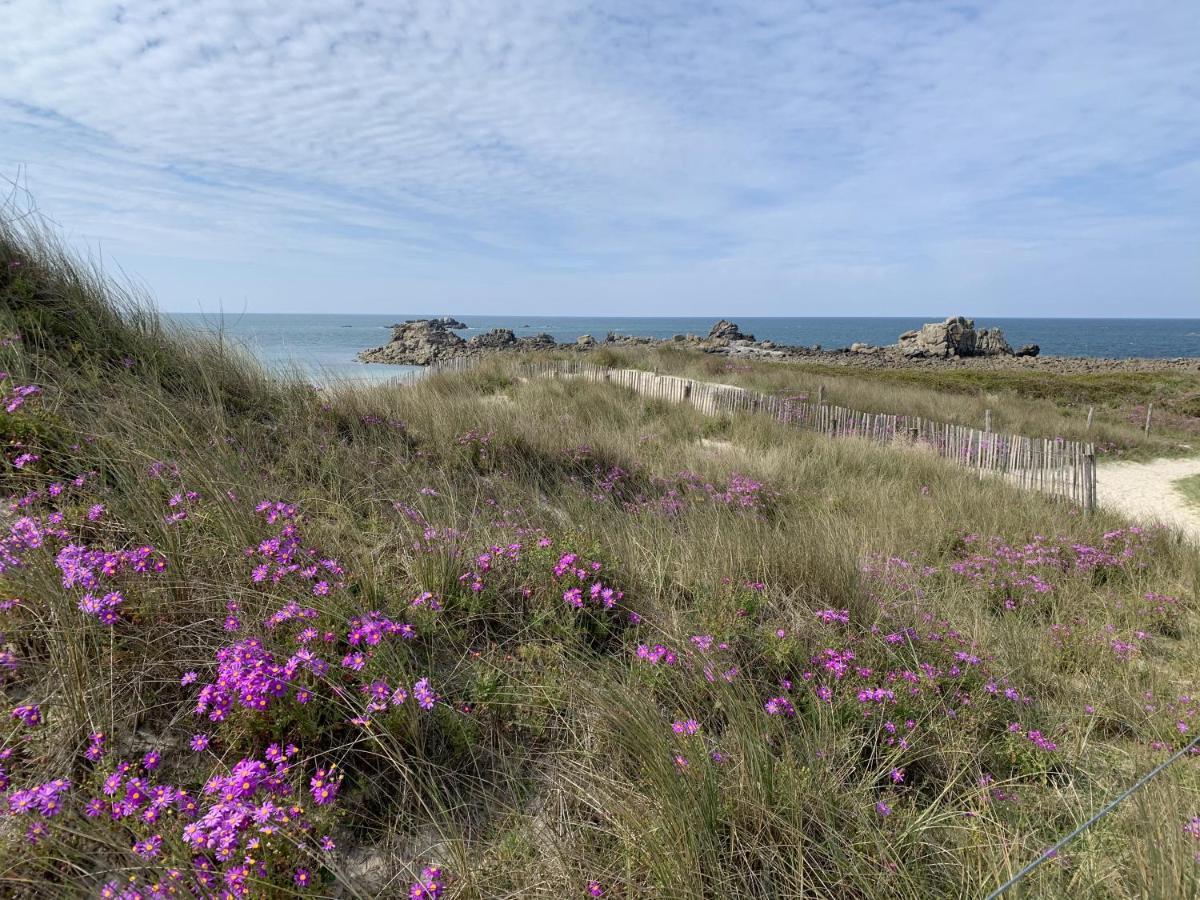 L'Escale 551, Gite Santec A 250M De La Plage Luaran gambar