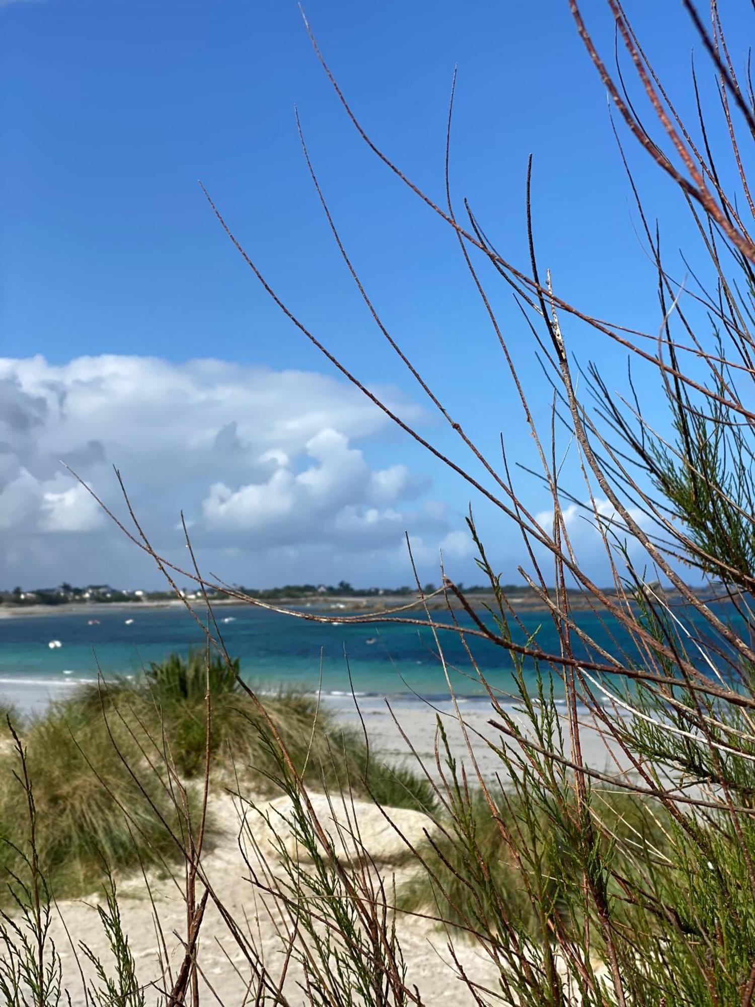 L'Escale 551, Gite Santec A 250M De La Plage Luaran gambar
